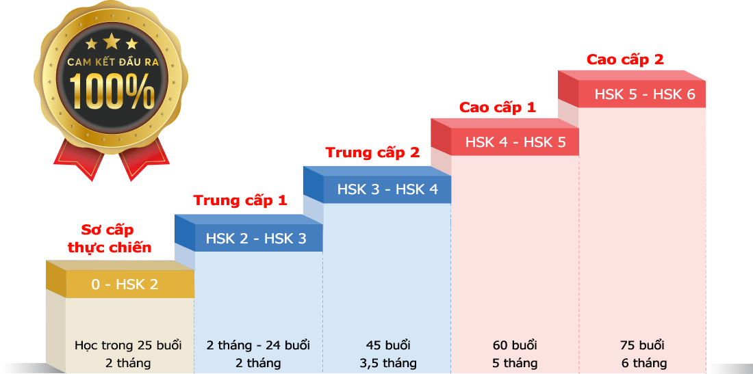 Trang chủ 20 Lộ trình học