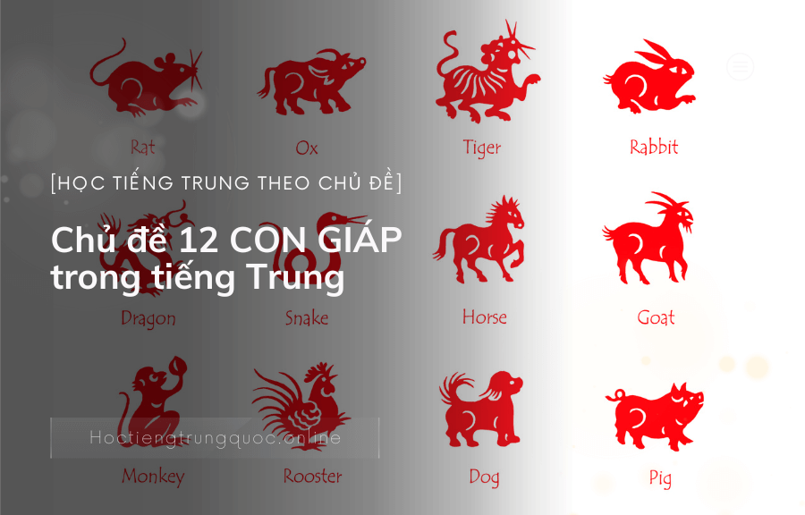 Từ vựng 12 con giáp trong tiếng trung: Ứng Dụng Trong Văn Hóa và Cuộc Sống 1 12 con giáp tiếng Trung